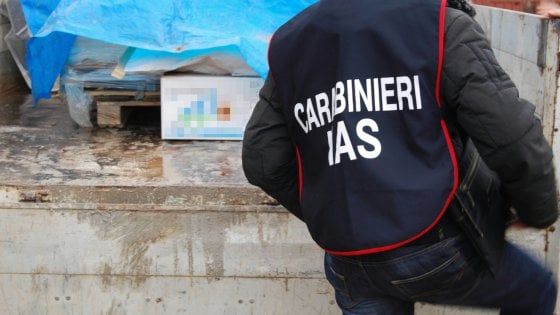 Farmaci scaduti, finti infermieri e lesioni sugli anziani: maxi-blitz nelle case riposo in Emilia-Romagna