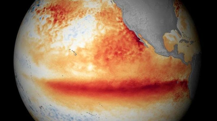 Caldo anche in inverno e prezzi del cibo in aumento. Gli effetti di un Niño in formato “Godzilla”