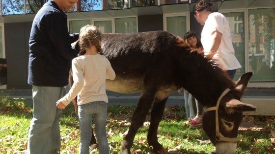 Pet Therapy nei giardini dell'ospedale Maggiore di Parma