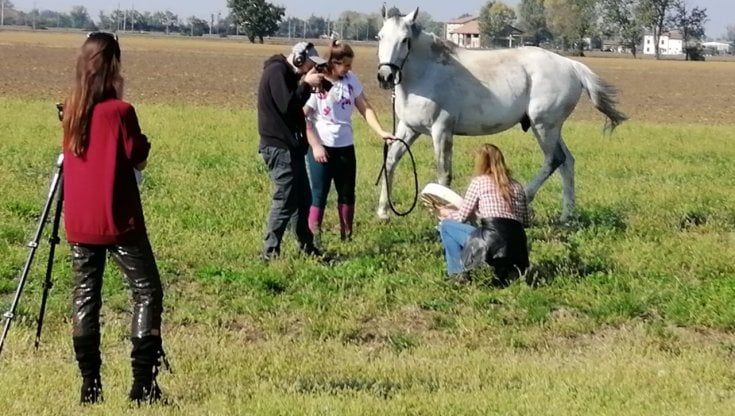 Fidenza, nella fattoria di Rebecca arriva la tv 