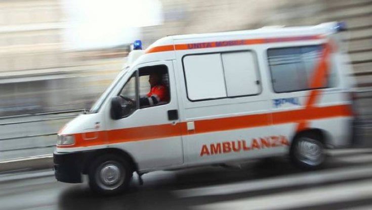 Varese, uomo ucciso da un albero caduto per la neve