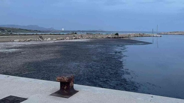 Menfi invasa dalla posidonia, l’indagine sul boss Vetro ferma i lavori di bonifica