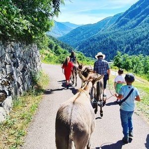 Asini, cavalli, erbe curative e turismo. La Pink economy scopre la montagna