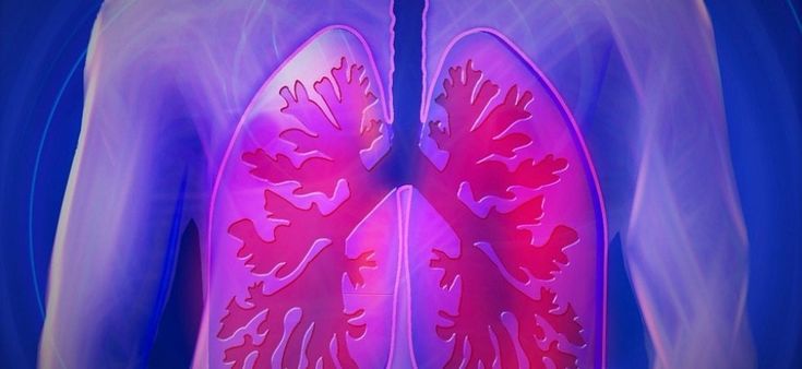 Fibrosi polmonare idiopatica: la terapia alla prova della vita reale