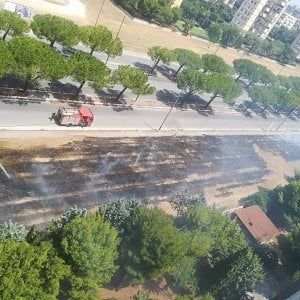 Bari, incendio attorno al Palaflorio: una colonna di fumo avvolge Japigia