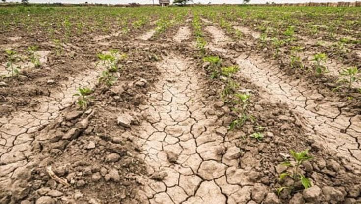 Italia maglia nera del clima, il cambiamento costa 300 euro per abitante e siamo il primo paese Ue per perdite economiche