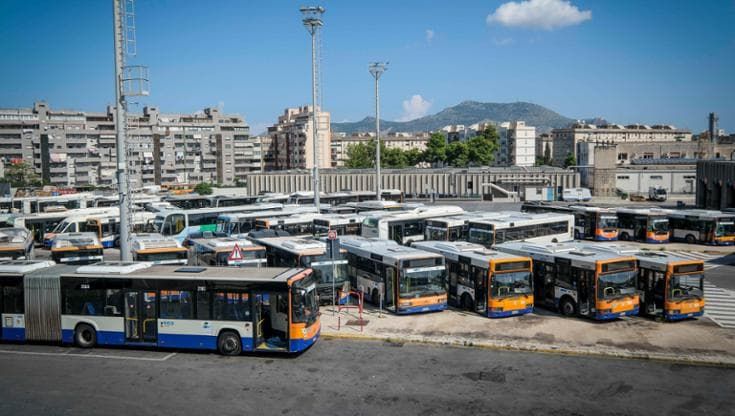 Amat, pochi autisti in servizio: tra ferie, permessi e malattie metà dei bus resta in deposito