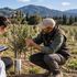 A Gubbio un campo di ulivi da tutto il mondo per combattere la Xylella