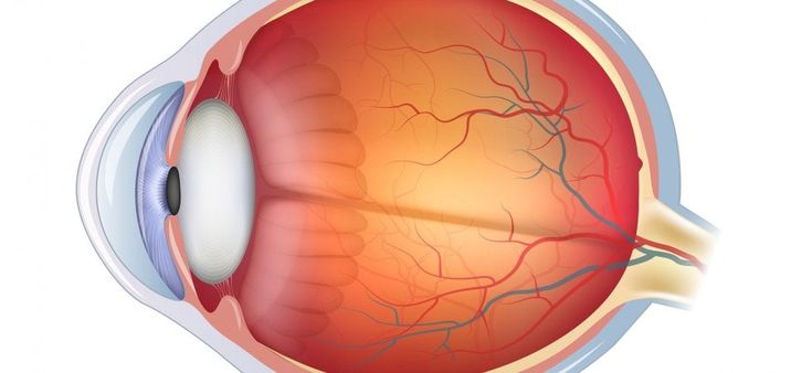 Umore acqueo, il liquido che nutre cornea e cristallino