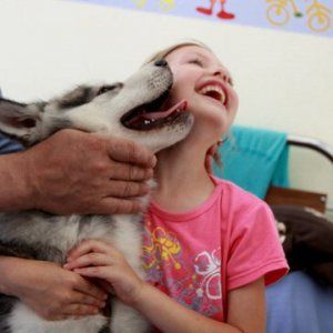 Conigli, gatti e asinelli fanno abbassare la pressione