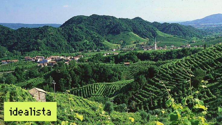 I grandi vini del Veneto: viaggio tra rossi iconici e bollicine d’eccellenza