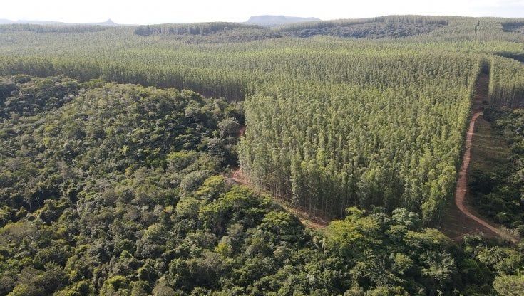 Legacoop Emilia Ovest diventa "carbon neutral" grazie a Carbon Credits Consulting