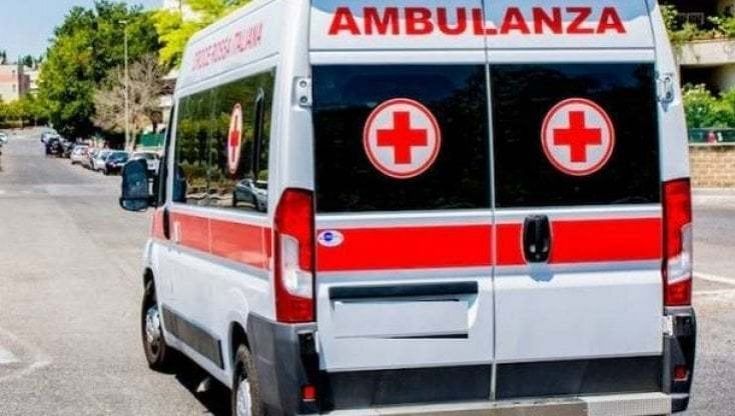  Si schianta in bici contro un cinghiale: grave un 15enne
