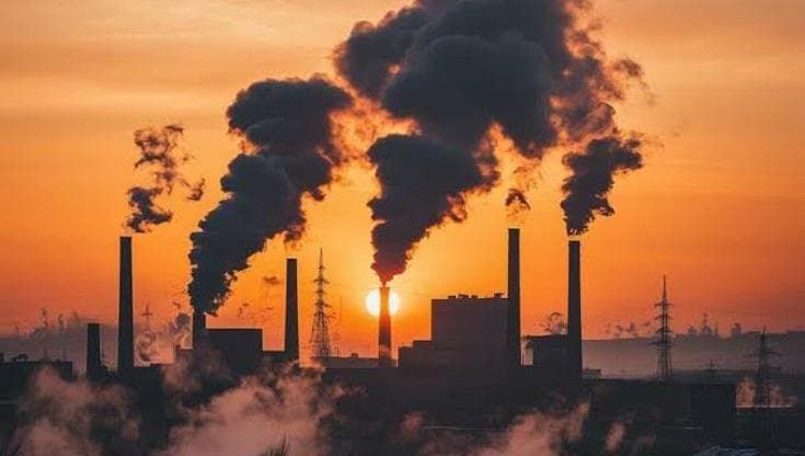 “Stiamo alterando il Pianeta come è successo prima delle estinzioni di massa”