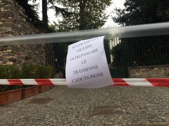Villa Floridiana, chiuso il secondo ingresso: "Pericolo caduta pigne"