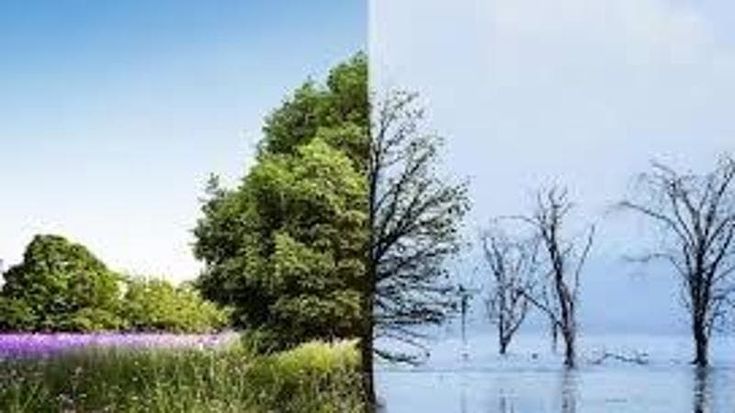 Clima, la scuola per lobbisti dell’ambiente per rendere più efficace l’impatto delle proprie azioni