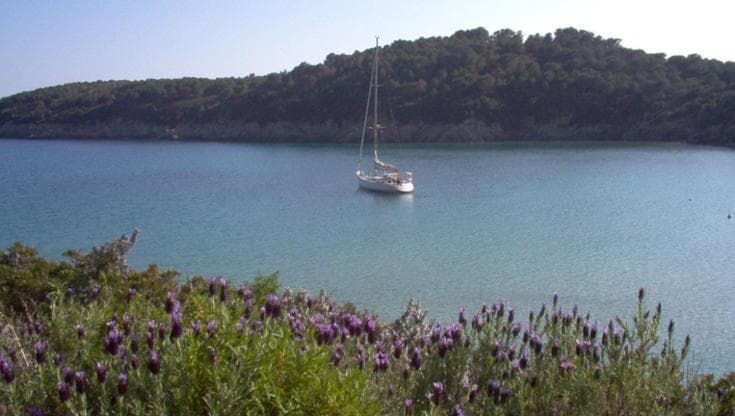 Isola d’Elba, la spiaggia di Fetovaia tra le 10 più belle d’Italia secondo Skyscanner