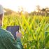 Dai sensori all'IoT per evitare sprechi con l’agricoltura intelligente
