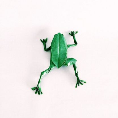 <span>Passione origami. Dalla tartaruga all'orso: lo zoo &egrave; di carta</span><span><br /></span>