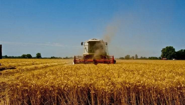 Incidenti sul lavoro, agricoltore muore travolto da una motozappa