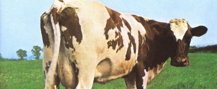 Aubrey "Po" Powell, l'artista dietro le copertine dei Pink Floyd: "Ci hanno sempre dato carta bianca"