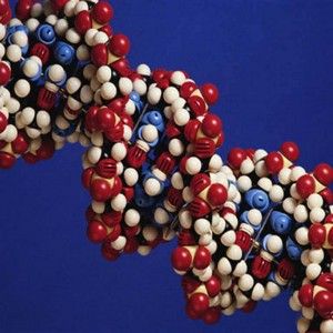 Test Dna, "Mercato da 700 milioni di dollari". Verso la medicina personalizzata