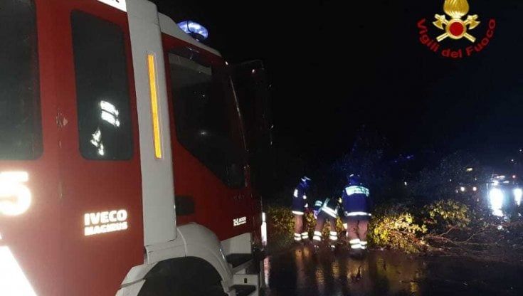 Livorno, 118 millimetri di pioggia, vento e alberi caduti