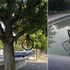 Milano, quando il bike sharing è troppo libero: bici sugli alberi e nelle fontane 