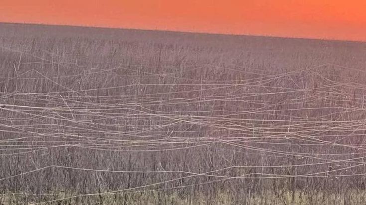Migliaia di chilometri di cavi nei campi e sugli alberi: così i droni inquinano l’Ucraina