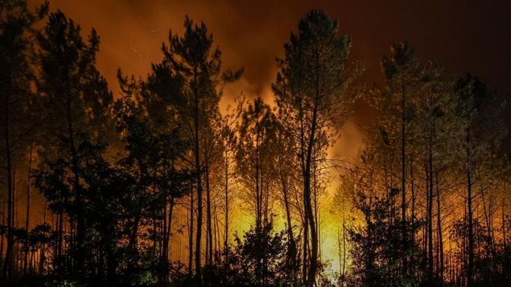 Tra gli evacuati della Gironda: “Dal cielo un temporale di braci”
