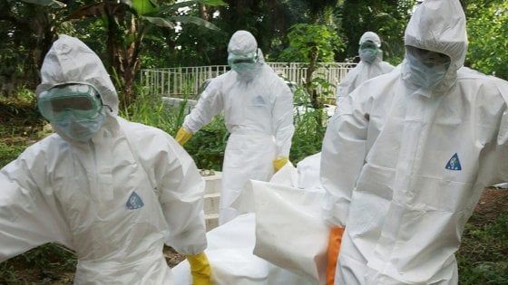 Epidemie, nuovo modello del Politecnico di Torino: "Si propagano come i 'trending topic' su Twitter"