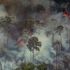 Amazzonia, Chico Mendes e quel fuoco lungo 30 anni
