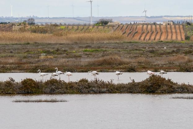 Marsala, alla scoperta di Capo Feto: un museo naturalistico a cielo aperto
