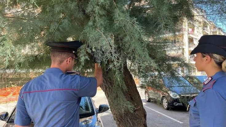 Ostia, petardo esploso in via Fasan, arrestati due boss della droga: scoperti 30 involucri di crack