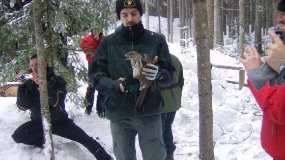 Wwf: con il grande freddo bracconieri scatenati