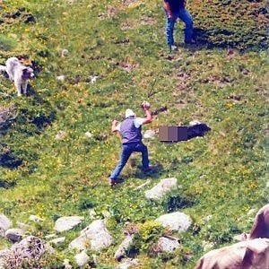 Brescia, uccisero il cane a bastonate: padre e figlio assolti anche in appello