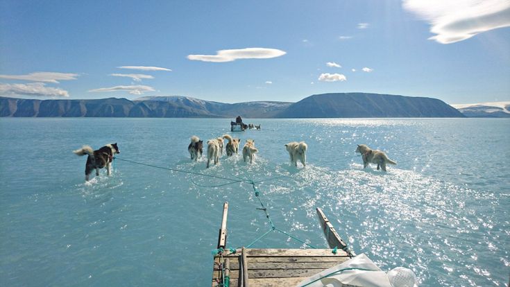 Groenlandia, il ghiaccio si fa acqua a rischio tutto il sistema polare