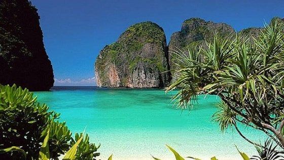 Thailandia, rinasce la barriera corallina nella baia del film "The beach"  