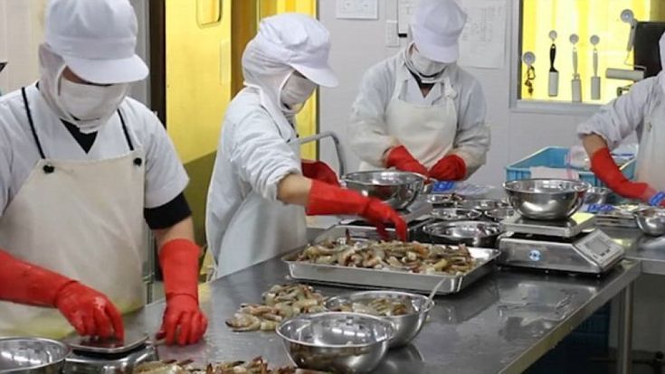 Lavora quanto vuoi per far lavorare tutti. A Osaka si fa