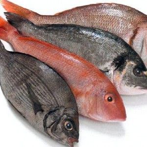 Sequestrati tre quintali di pesce fresco