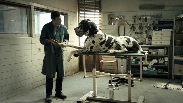 La fiaba nera di Dogman, tra relitti di umanità