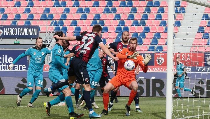 Bologna-Spezia 4-1: Orsolini, Barrow e doppio Svanberg, liguri travolti