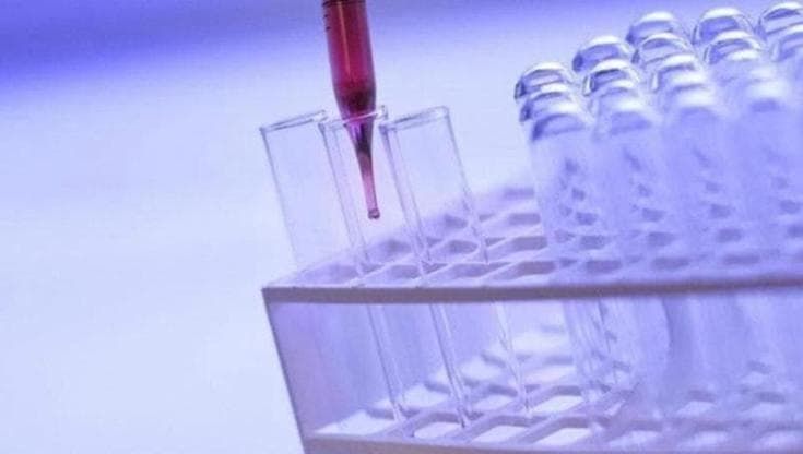 Epatite C, partono 800 mila lettere per lo screening ma pochi medici e farmacie fanno i test
