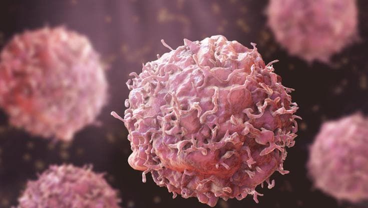 Sistema immunitario, così le cellule Treg cambiano ruolo e finiscono per aiutare il tumore