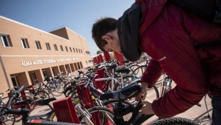 Passeggiate, film, biciclette: gli appuntamenti e i bandi green