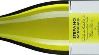 La freschezza del Verdicchio
