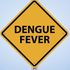 Dengue, parte il monitoraggio dei contagi