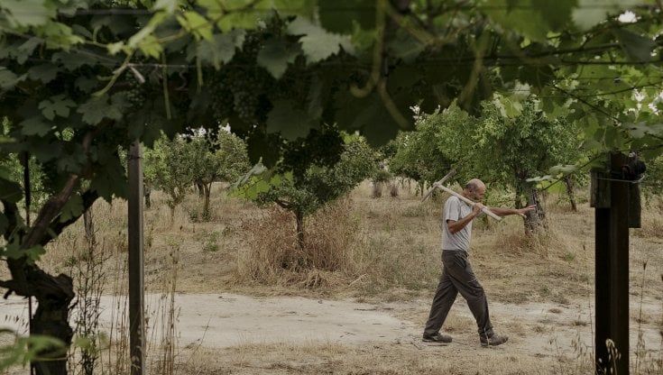 Ecco le "persone lievito" al lavoro dietro le quinte della Puglia protagonista: "Sono quelli che hanno scelto di restare e crederci"