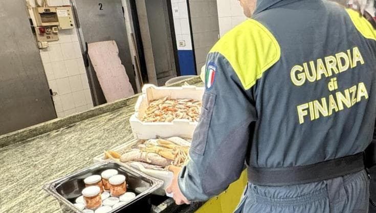 Gallipoli e Porto Cesareo, blitz in pescherie e ristoranti: sequestrati pesce e polpa di ricci