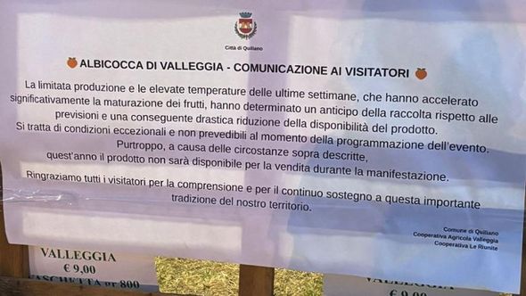 A Valleggia la festa è finita (e pure le albicocche). “Il caldo ha ridotto la produzione”